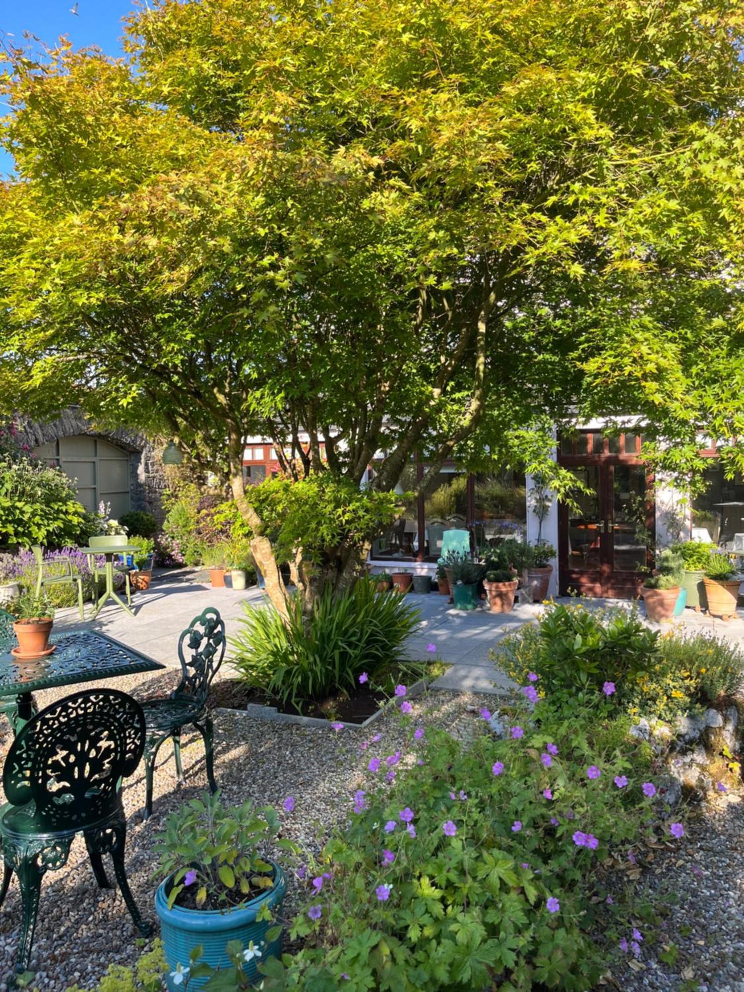Wild Honey Inn Lisdoonvarna Exterior photo